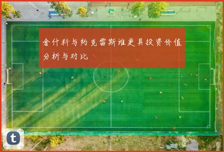 舍什科与约克雷斯谁更具投资价值分析与对比